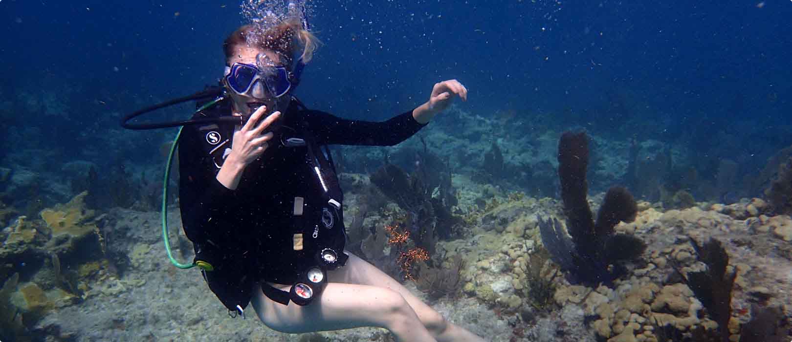 Adventure Diving Bali - TK体育直播APP