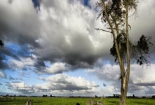 亚冬点将台 | 谷爱凌能否一人独得三金?哈尔滨日报.