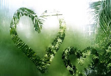 玫瑰再见!罗斯正式宣布退役 结束16年NBA生涯.