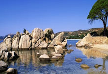 澳波:球迷的嘘声不会对我有影响,我只会专注于能掌控的事情.